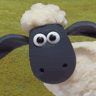 SHEEP JOKE FOR TODAY